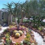 150cm Height Artificial Landscape Trees Space Decoration Agave Plant Simulated