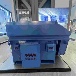 China Variable Frequency 8KV High Efficiency Electric Motor factory