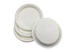 10" 20g Bar Biodegradable Sugarcane Bagasse Plates