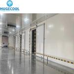 60Hz Indoor Walkin Freezer for Ice Cream Storage Cold Room as Per Your
