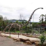 Large Outdoor Dinosaur Skeleton , Sunproof Dinosaur Model Skeleton