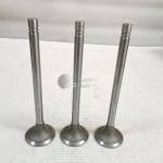 NT855 machinery parts diesel engine valve intake valve 135957 3000926 4955698