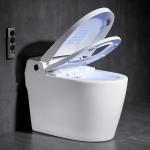Hot Selling Sanitary Ware Intelligent Seat Heating Ceramic Automatic Smart