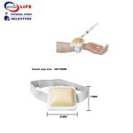 Medical Intramuscular Training Injection Pad Nurse Practice CE ISO Simulated