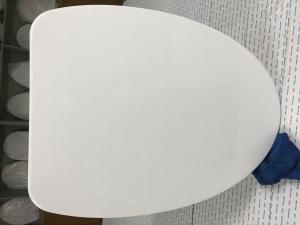 China Various Color Oval Toilet Seat Lid Covers With Plastic Seal Diaphragm Packing factory