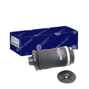 China Car Parts Rear Pneumatic Air Suspension Assembly A1663200325 For Mercedes Benz M Class factory