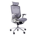 GTCHAIR Full Mesh Ergonomic Executive Chair Multiple Adjustabilities Sync