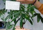 Ecological 4mm Double Coating AR Glass For Solar Energy Control