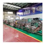 Stainless Steel 304 Frozen French Fries Production Line Finger Potato Chips