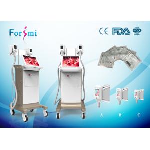 Two handles work the same time Cryolipolysis Slimming Machine FMC-I Fat Freezing