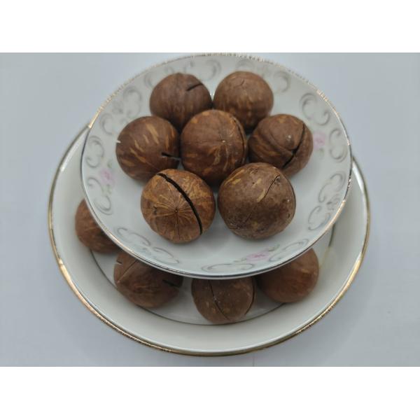 China Delicious Natural Macadamia Nuts From In Plastic Bag factory