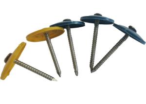 China Round Cap Oem 25mm Roofing Nails With Plastic Washers factory