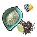 Piperine Black Pepper Extract 50% 95% 98% Food Grade For Health Product