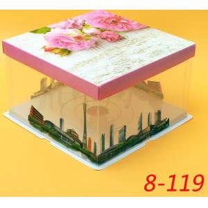 Disposable Clear/transparent Sandwich/cake Plastic Food Container/box/packaging