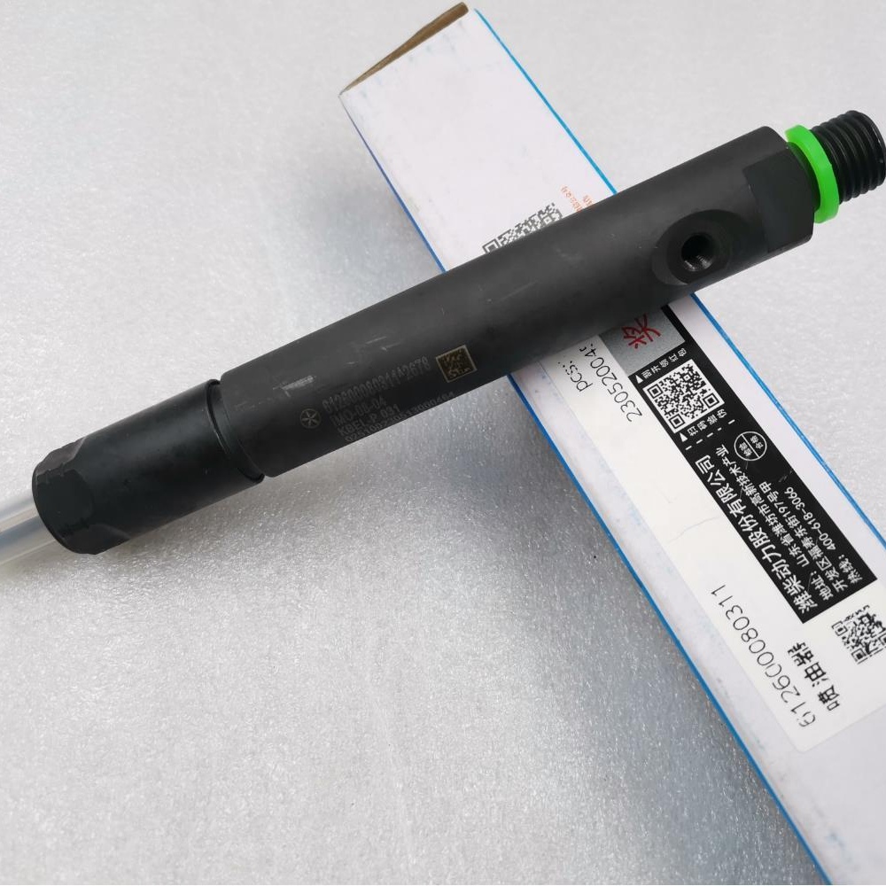 Weichai WD618 WP12 Engine 420 Horsepower Parts Common Rail Fuel Injection Assembly 0.37kg Purpose for Replace/Repair