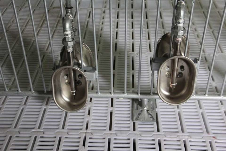Round Fattening Pig Automatic Water Drinker 130mm 150mm Finishing Pig Water Bowl