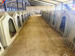 Heavy Duty Steel Cattle Buildings Customized Steel Structure Animal Husbandry