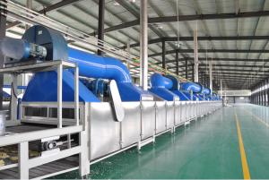 China Stainless Steel Automatic Non-Fried Instant Noodle Processing Line factory