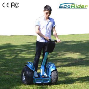 China Outdoor Off Road Segway Adult 2 Wheeled Self Balancing Electric Vehicle For Samsung Battery factory