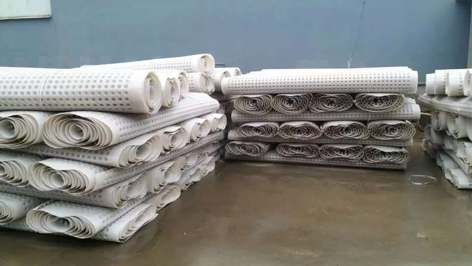 8mm-20mm Thickness Greenroof Dimple Mat Drainage Board with PE Material 2m Length