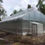 Polytunnel Hothouse Sawtooth Top Ventilation Tunnel Greenhouse For Plant