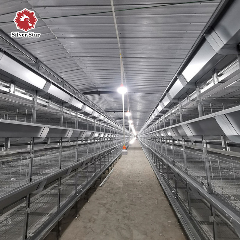 Automatic Broiler Poultry Cages Equipment 3 Tiers 4 Tiers H Type