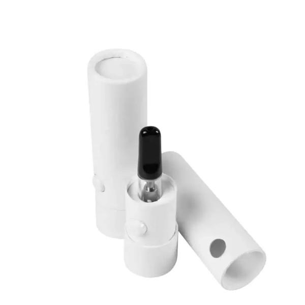 China Custom Disposable Device Child Proof Lock Packaging Child Resistant Tube Box for Vape factory