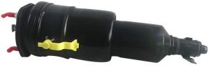 China 4801050340 Air Suspension Parts Air Suspension Strut factory