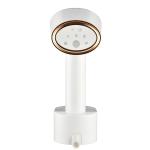 Hair Brush Accessories Mini Handheld Iron Portable Steam Ironing Brush for