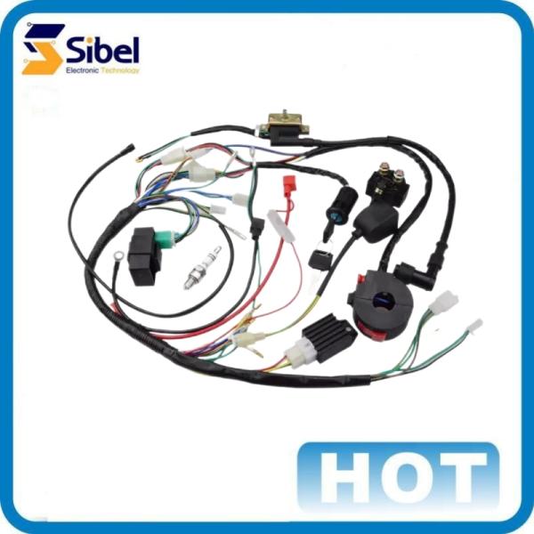 Professional Custom Assembly Manufacturer OEM Customize Engine Wire Harness Cable motor wiring harness with high quality