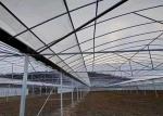 Simple Structure Plastic Film Greenhouse For Vegetables / Fruits Growing