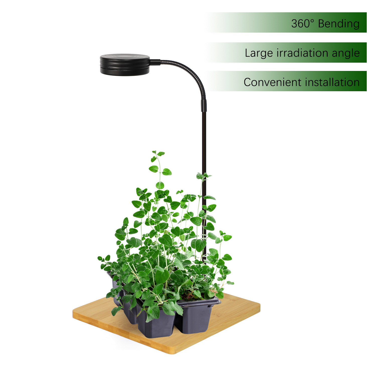 Full Spectrum Led Aquarium Light With Timer For Fish Tank Indoor Plant Growth