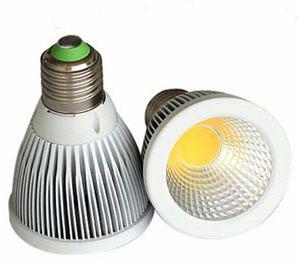 China Led COB Spot &amp; par Led lighting for Australia supplier factory