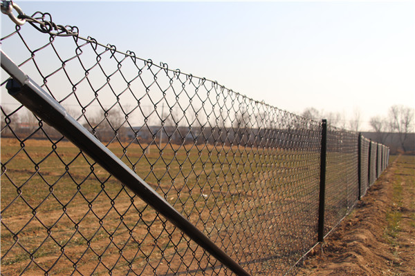 2.1mx10mx50x50mm galvanized steel chain link fence rolls from ". Victoria "