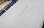0.20 ~ 0.60 mm Rotary Cut Veneer