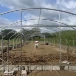 Custom Tunnel Greenhouse 8x30m Agricultural Greenhouse Kit For Planting