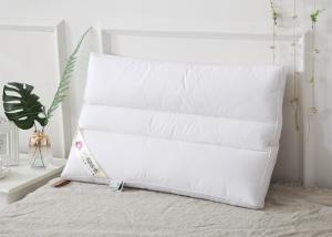 China Fiber Mixed 48cm*74cm 100g Soft Bed Pillow factory