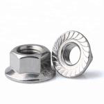 M8 Stainless Steel SS304 Hex Flange Nut DIN6923 Marine Grade Stainless Steel