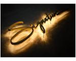 Custom Signage salon room number 3d led letter sign