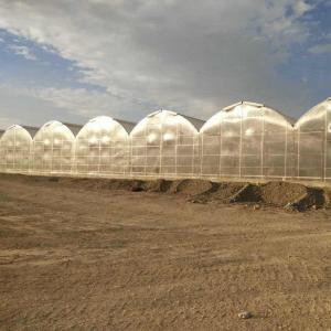 China Steel Frame Polycarbonate Greenhouse For Vegetables Multi Span PC Board Greenhouse Agriculture Outdoor factory