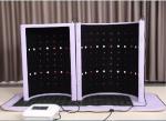 Beauty Salon FIR Far Infrared Sauna Dome for Detoxification 100V-120V