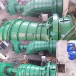 House And Power Plant 50kw~20mw Mini Tubular Turbine Generator Small Hydro