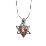 Fashion Wish Pearl Pendant Necklace Natural Oyster Gift Box Love Heart Cage