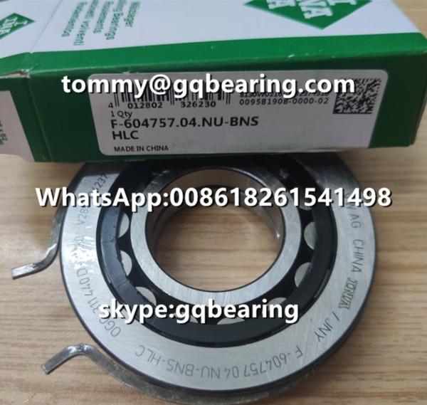 Nylon Cage Cylindrical Roller Bearing VW AG INA F-604757.04.NU - BNS - HLC With