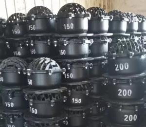 China DN150 DN200 cast iron flanged foot valve factory