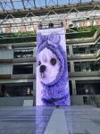 P3.9 High Brightness Flexible Transparent LED Screen For Outdoor Installation