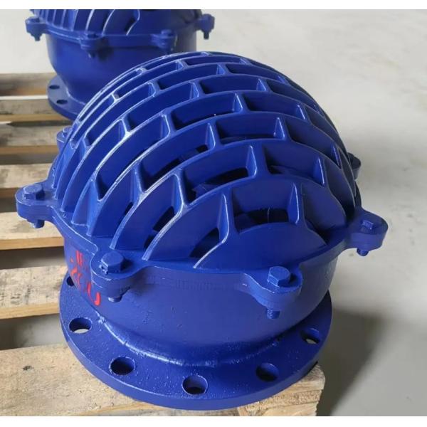 resilient seal ductile iron flanged foot valve blue color from China medium water