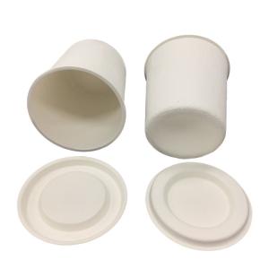 China Wet Press Sugarcane Pulp Packaging , Eco Friendly Molded Paper Packaging factory