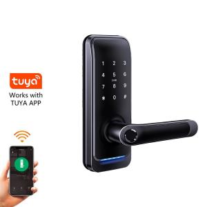 China Matted Black Aluminum Alloy Electronic Door Locks Stand Alone Version factory