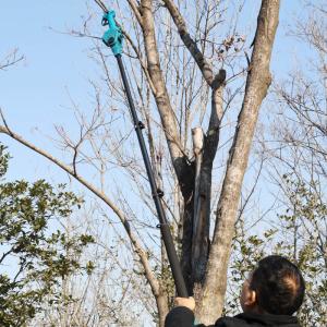 Professional Brushless Fruit Tree Pruning Shears Portable Cordless Garden